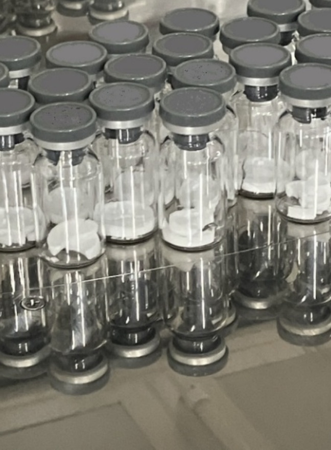 凍結乾燥技術を用いた注射剤製造の様子1